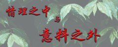 <b>情理之中与意料之外</b>