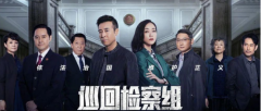 <b>《巡回检查组》观后感</b>