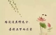 <b>路漫漫其修远兮</b>