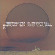 <b>藏羚羊</b>