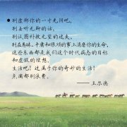<b>奇妙的生活</b>