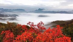 <b>别让世俗，乱了你内心的景致</b>