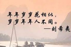 <b>年年岁岁</b>