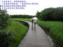 <b>两条路</b>