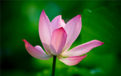 <b>心美一切皆美</b>