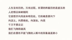 <b>人生只有过程</b>