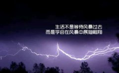 <b>沙尘暴</b>