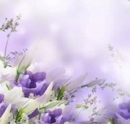 <b>没必要</b>