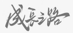 <b>成长之路</b>