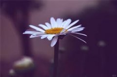 <b>成长与苦痛</b>