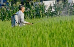 <b>唯有辛苦耕耘，方能有所收成：探寻付出与收获</b>