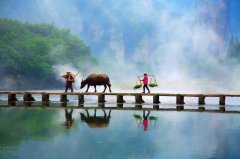 <b>感悟| 莫问收获，但问耕耘</b>
