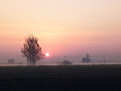 <b>磨练，使人难以忍受，使人步履维艰，但它能使</b>