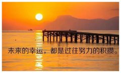 <b>不是每一次努力都会有收获，但每一次收获都必</b>