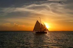 <b>时间顺流而下，生活逆流而上</b>