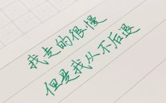 <b>我们可以走的慢， 但是不能后退。</b>