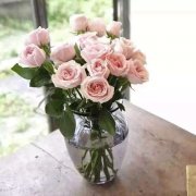 <b>不是所有的鲜花，都盛开在春天</b>