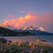 <b>认认真真地把自己正在做的事情做到极致，术固</b>