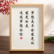 <b>梦想不会发光，发光的是追梦的自己</b>