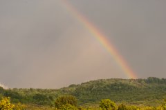 <b>困难是成长的土壤，惟有经历过风雨，方能看到</b>