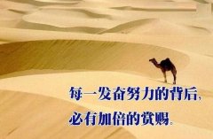 <b>每一次发奋努力的背后，必有加倍的赏赐</b>