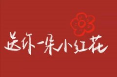 <b>于苦难中绽放希望之花 —— 观《送你一朵小红花</b>
