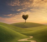 <b>在这个浮躁的社会里，保持平常心，方能不乱于</b>