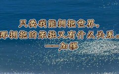 <strong>只要我能拥抱世界，那拥抱得笨拙</strong>