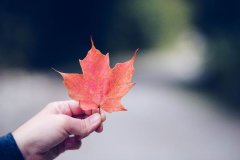 <b>不必羡慕他人的光芒, 保持自己的本色, 自己也能</b>