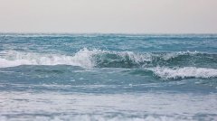 <b>涉浅水者得鱼虾，涉深水者得蛟龙</b>