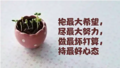 <b>抱最大的希望，尽最大的努力，做最坏的打算</b>