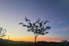 <b>停止内耗，你的能量应该用来追求梦想，而非消</b>