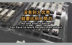 <b>没有比别人更厉害，就要比别人更努力</b>