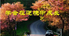 <b>真正厉害的人，都懂得在逆境中成长</b>
