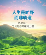 <strong>生命是旷野而非轨道（二）</strong>