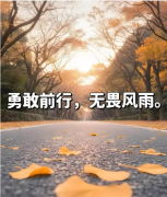 <strong>积极乐观的面对生命中的风雨</strong>