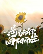 <strong>唯有逆风来袭，才能激发出潜藏的</strong>