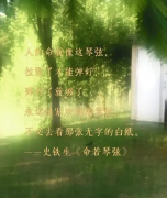 <strong>人的命就像这琴弦，拉紧了才能弹</strong>