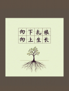 <strong>向下扎根，才能向上生长</strong>