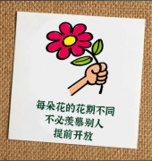 <b>每个人的花期不同，不必焦虑有人比你提前拥有</b>