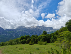 <b>别急着要结果，冲向终点的过程更重要</b>