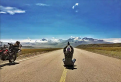 <strong>丹心终不改,白发为谁新</strong>