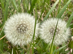 人与世界的相遇，从来不是单向的