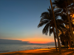 <strong>在认清生活的真相之后，我们需要</strong>