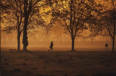 <b>人生如暂借的风景</b>