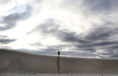 <strong>我们的身躯或许卑弱如草芥，但灵</strong>