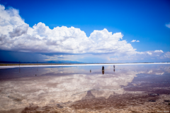 <strong>爱的最高境界，不是索取，而是静</strong>