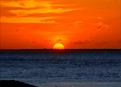 <strong>我存在，乃是生命存在的一个所谓</strong>