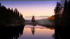 <strong>真正的强大，是在风雨之后学会爱</strong>