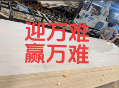 <b>迎万难，赢万难</b>